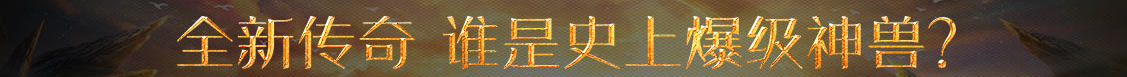 期权动态通